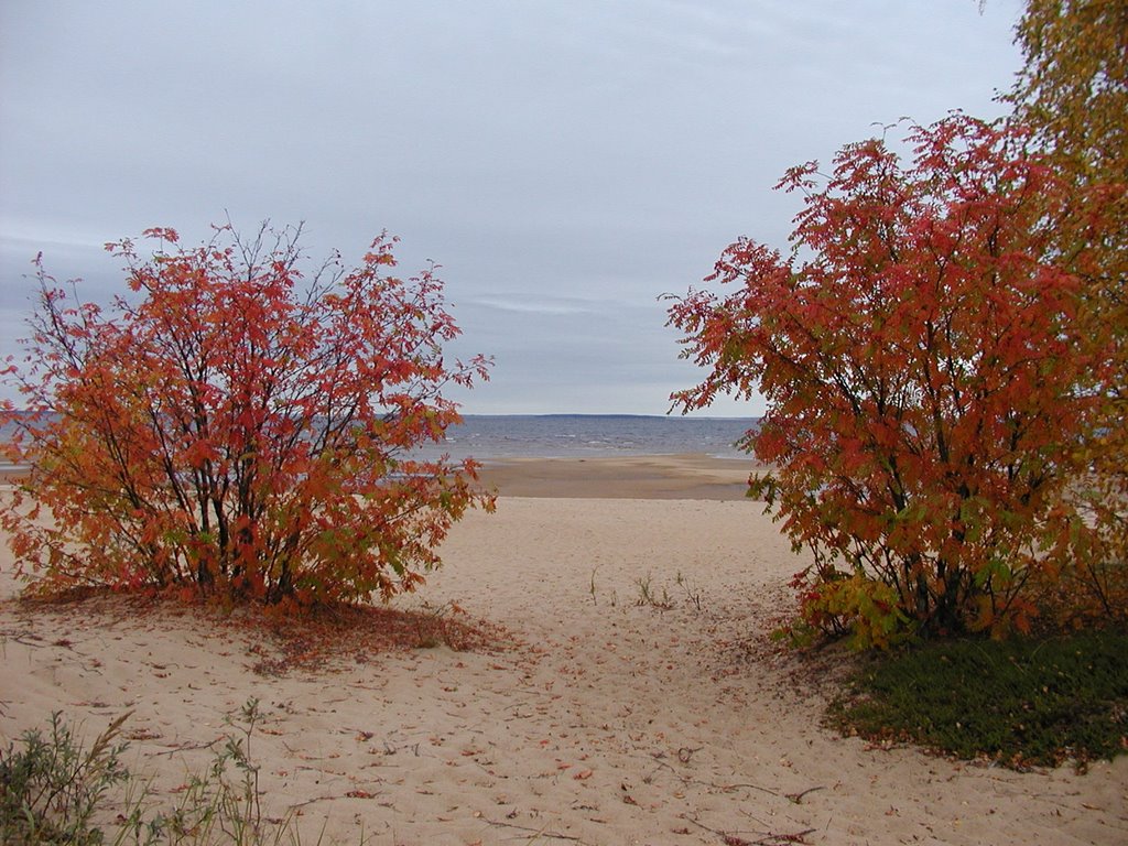 Manamansalo by Huttu