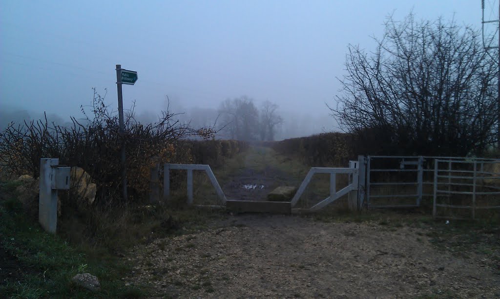 Frickley Country Park by snappy chappy