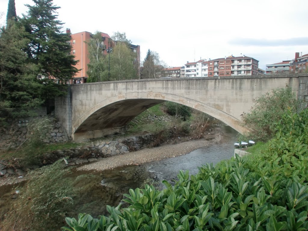 Zubia, Ibaizabal. Amorebieta-Etxano by Gorka Aranzabal