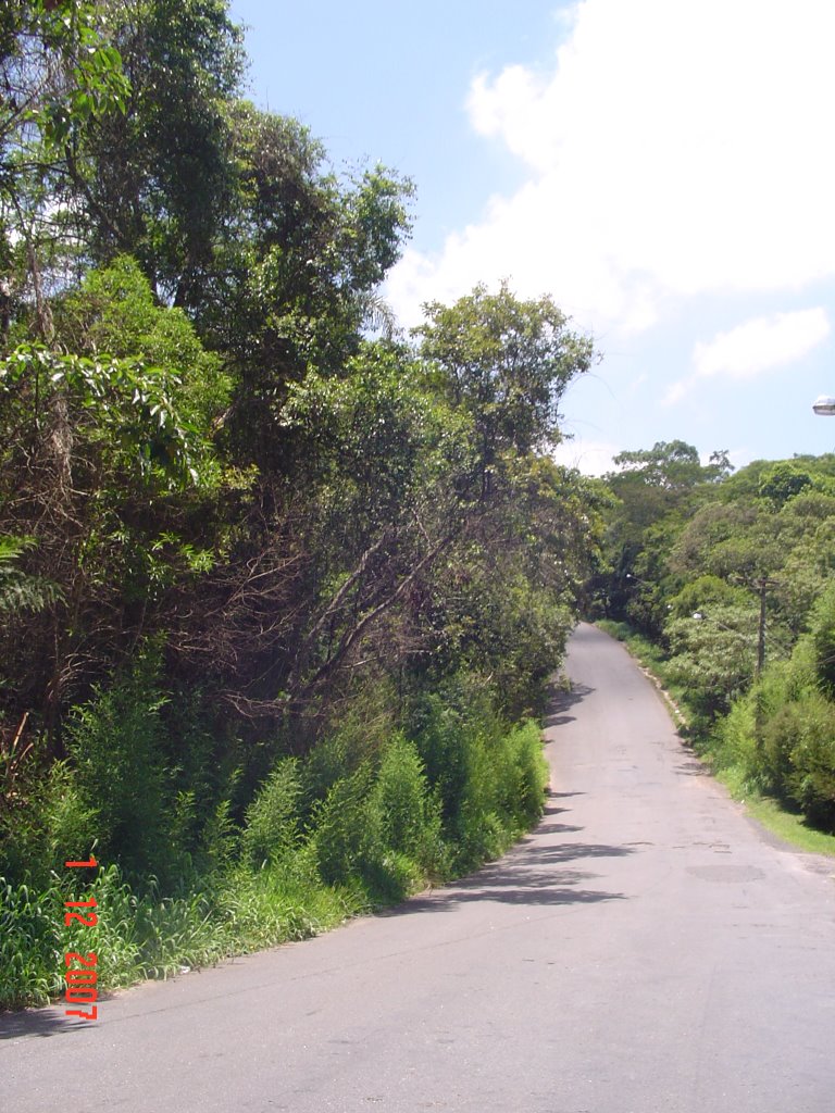 SP-228 - Estrada do Engenho3 - Itapecerica da Serra - Brasil by Marcelo Parise Petaz…