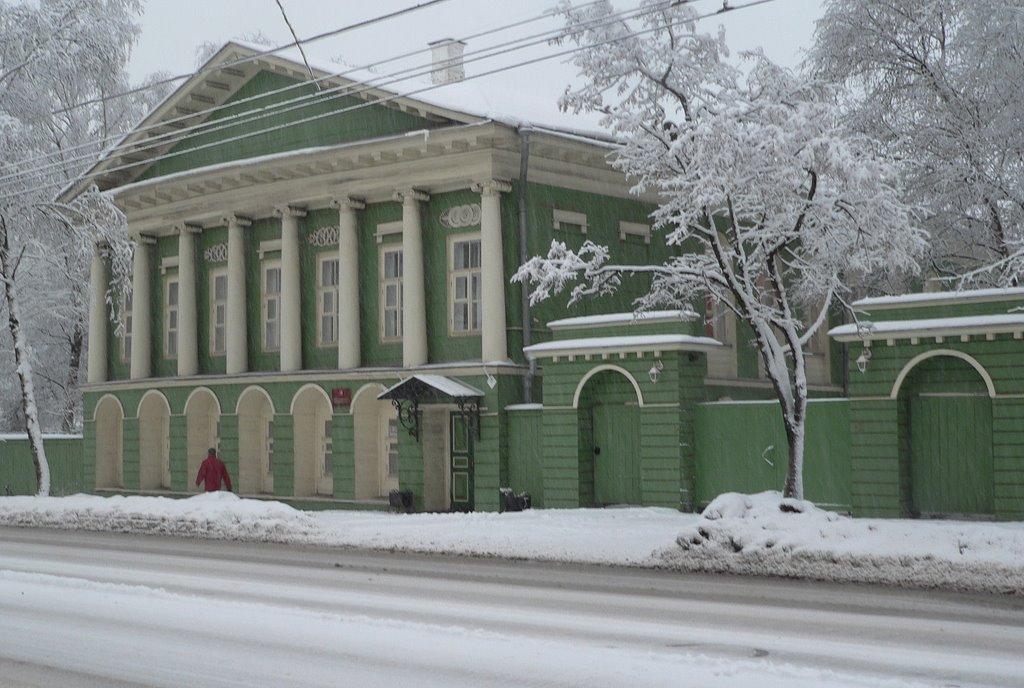 Памятник деревянного зодчества/wooden architecture/Дом Левашова by dasgrom