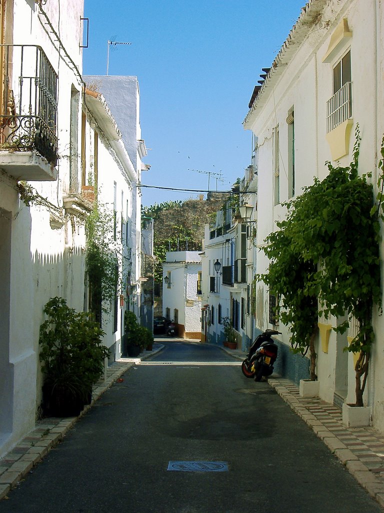 Calle Lobatas by Lagarto