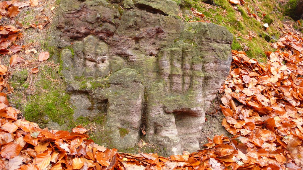 Stone hands by Petr Kraumann