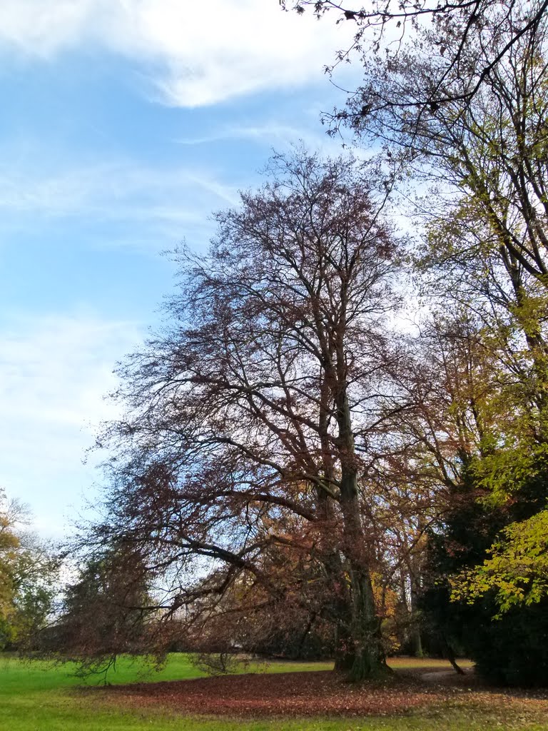 Parc de Budé by Magda GHALI