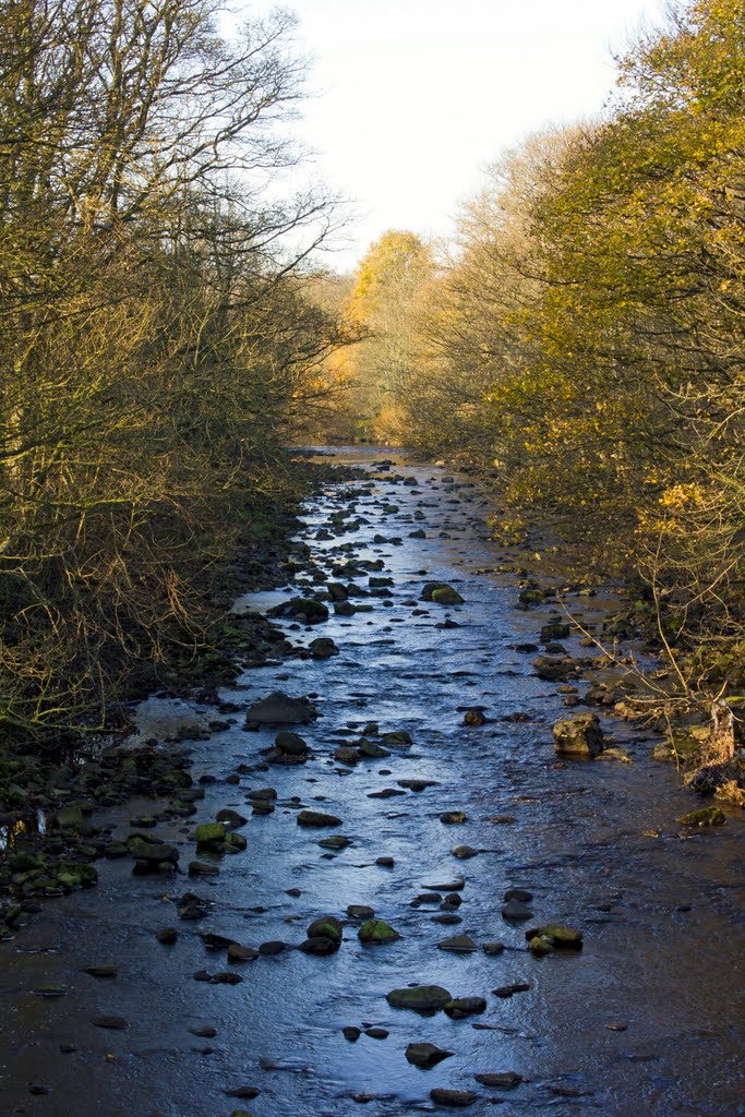 River Wear on a sunny November day. by © KennyW