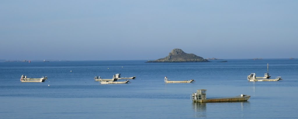 Barges à huitres by torr-penn