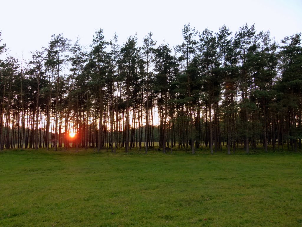 Sunset in der Senne by Farlang