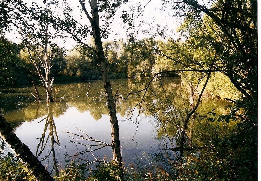 Kikkerplas. Rivier de Worm. Eijgelshoven.2007. by johnny45