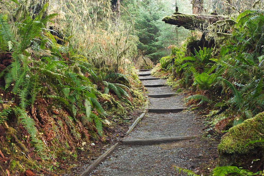 Stepped Pathway by Kris Minnear