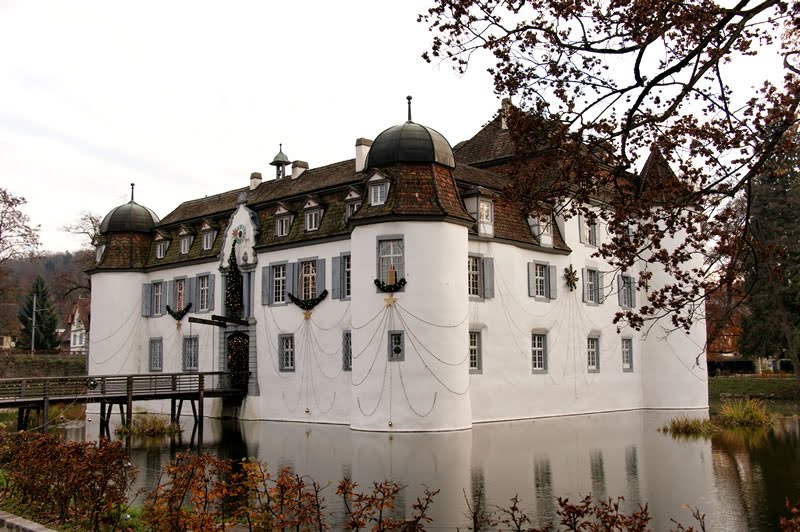 Schloss Bottmingen BL. by Golinski Janusch