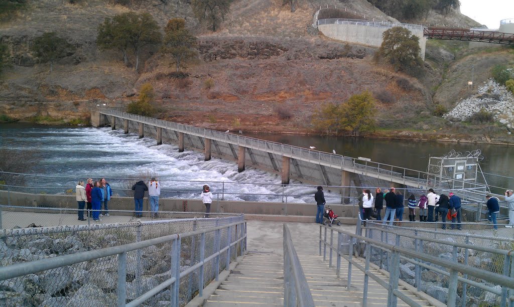 Nimbus Fish Hatchery by thackr01