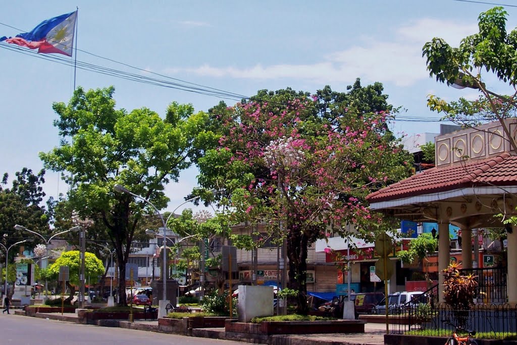 Divisoria Park by NRD