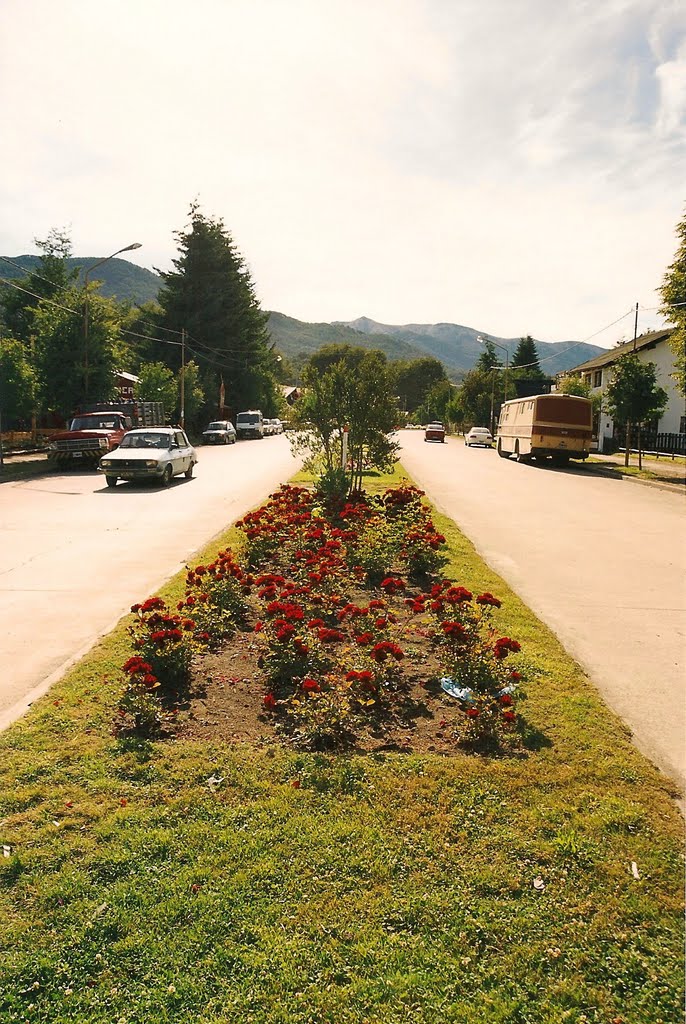 Allée centrale de la rue principale de Villa la angostura by m-claude