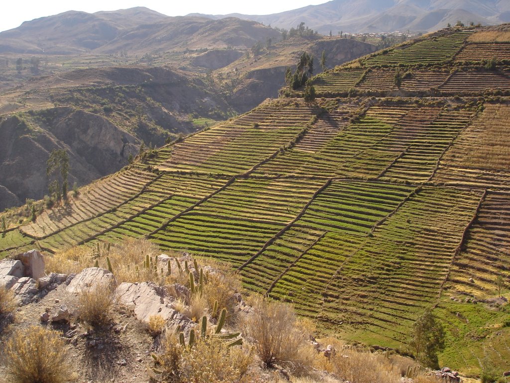 Andenerias de Tarata - desde Taratapampa by Christian Riveros A. - Apu Naturaleza y Cultu