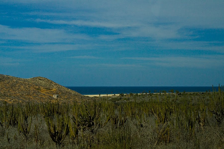 El Desierto y el Oceano Pacifico, Paisajes de Baja California Sur by RS-Camaleon