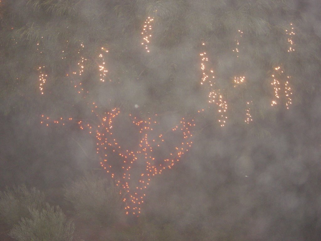 Christmas fog tree by Shaunt Makarian