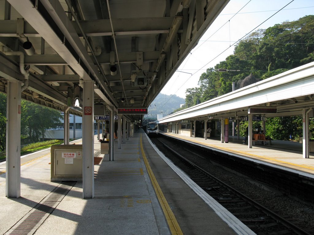 大埔墟站-東鐵綫月台 East Rail Line Platform of Tai Po Market Station (2007) by Baycrest