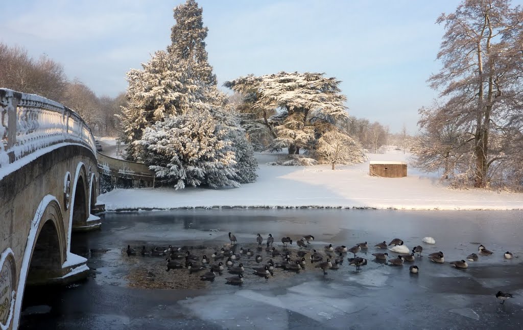 Audley End snowscape by MarkWNS