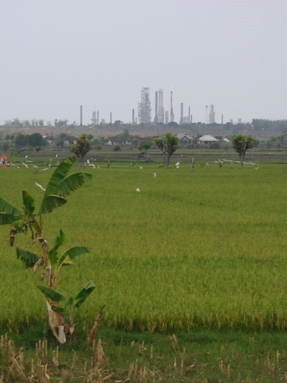 The Petrochina plant at Awarawar Cape near Remen by BDemont