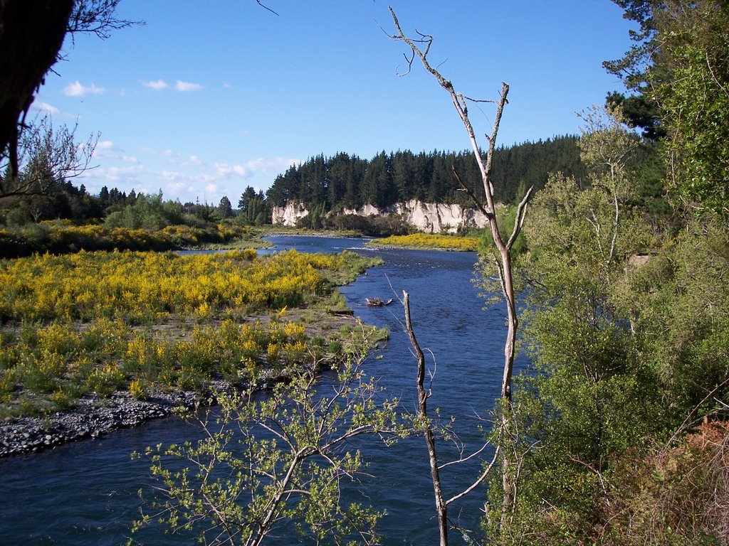 Tongariro River by White Horn