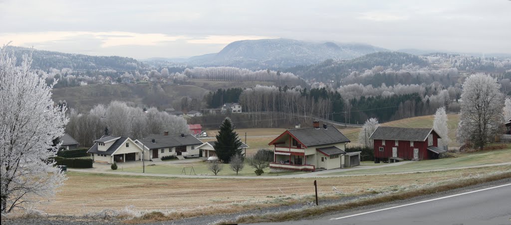 Rimfrost ved Åmot på Modum. ( 18 Nov. 2011 ) by H.Jelstad