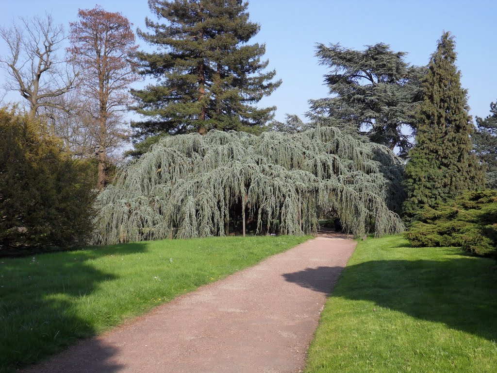 L'Arborétum by jean-paul cerny