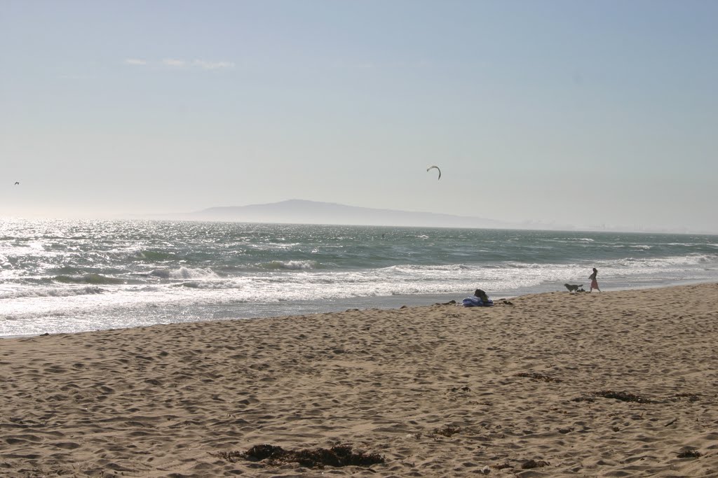 Huntington Dog Beach, Orange County, California by MICHAEL  JIROCH  &  www.michaeljiroch.com