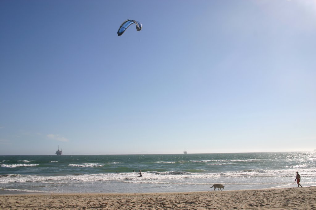 Huntington Dog Beach, Orange County, California by MICHAEL  JIROCH  &  www.michaeljiroch.com