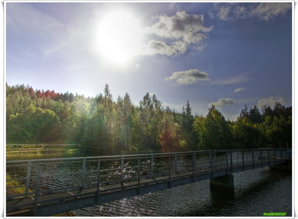 Steg am Neuen Teich by ☼❄ bergkristall ❆☼