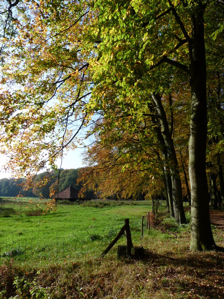 Herfst by stevenvanValen+hannekeRolloos