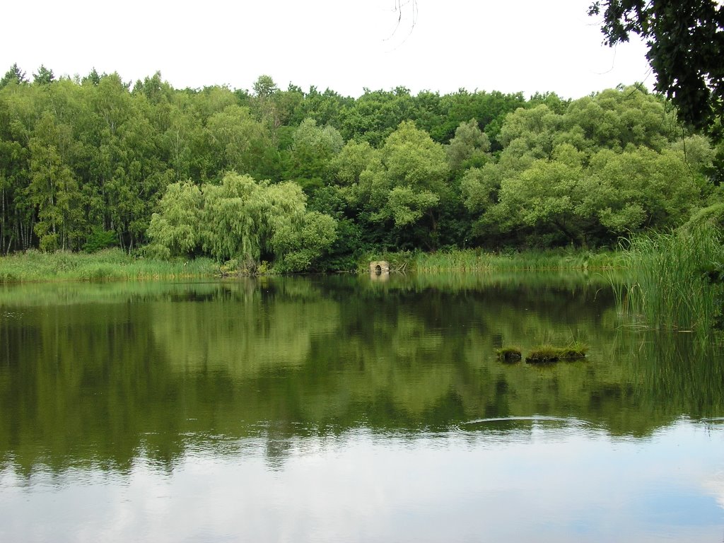 Lake Berezki by Dmitriy Bukhanko