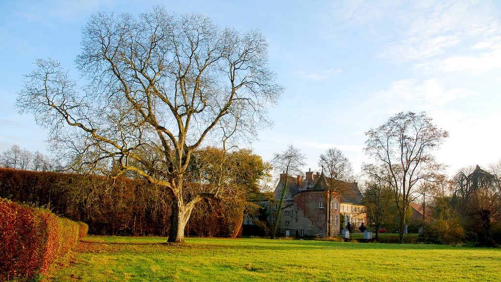 Der alte Baum beim Herrenhaus Jersbek. by Hans Wolters