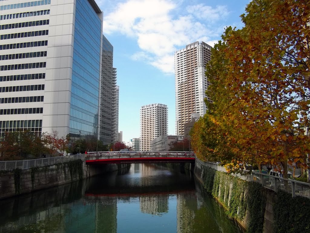 Onari Bridge / 御成橋 by Kangoo_