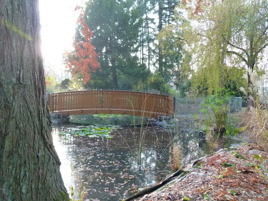 La passerelle du Parc Chuit by Magda GHALI