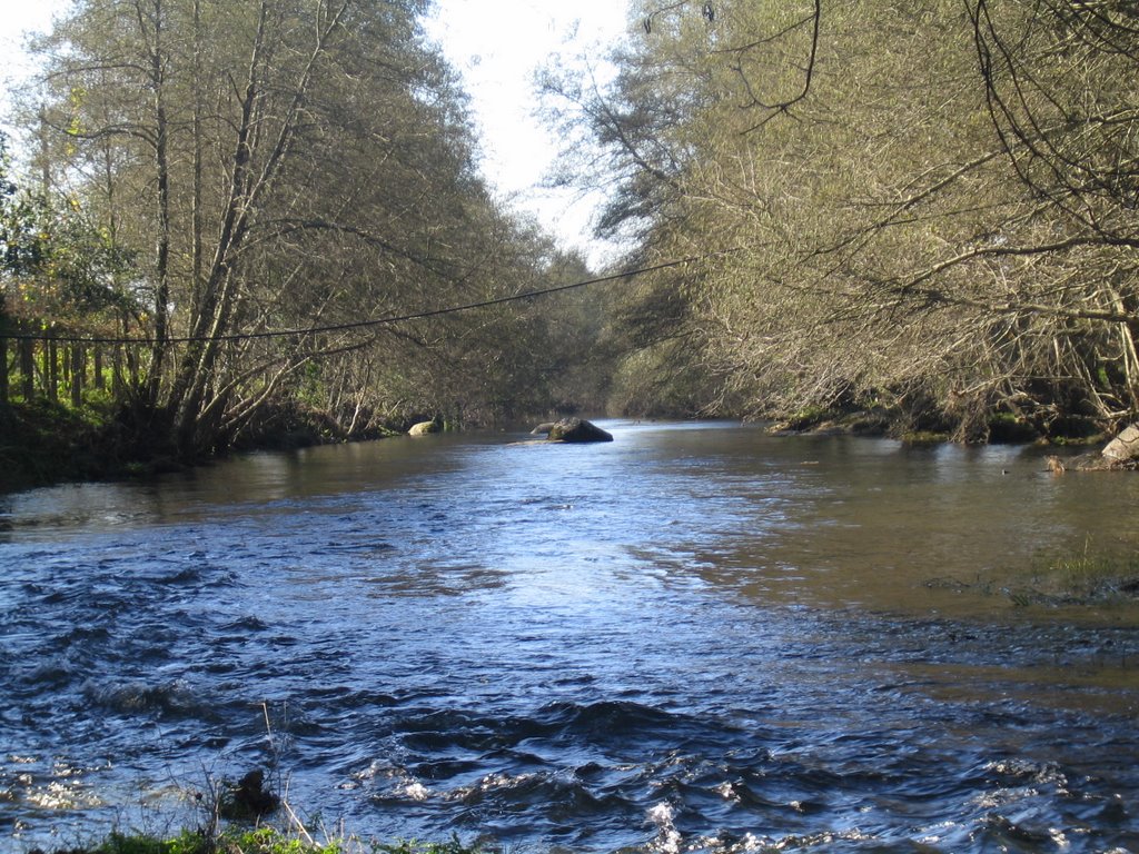 Río Umia (Caldas de Reis) by fercriro