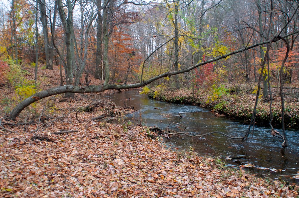 North Branch Big Timber Creek at Laurel Ravine by hoganphoto