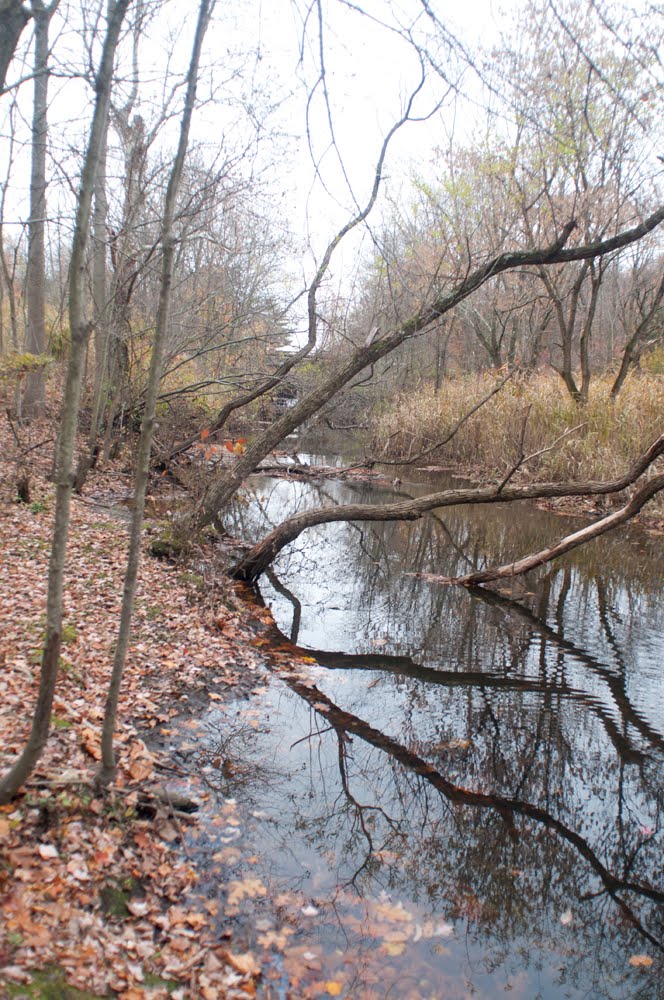 North Branch Big Timber Creek at Laurel Ravine by hoganphoto