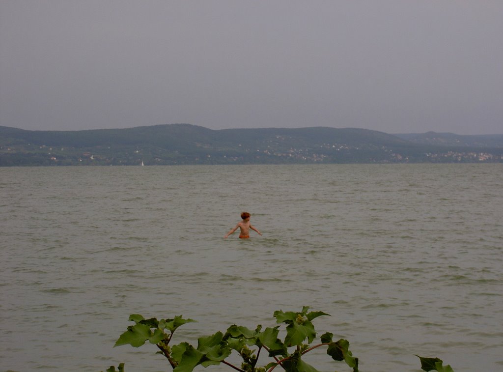 Baden in Balatonboglar by nassaumann