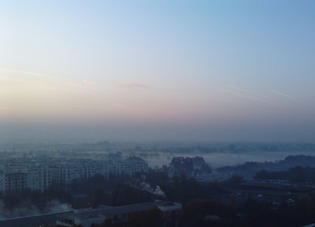 Le Bois de Boulogne sous le brouillard le 22/11/2011 le matin. by eric DELVA