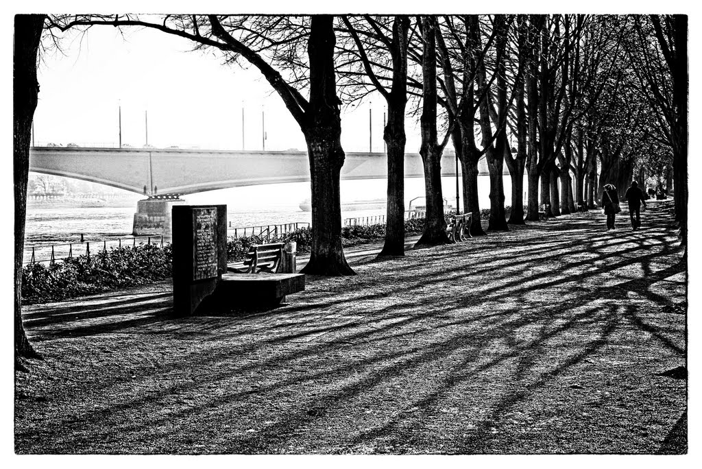 Kennedybrücke im Herbst by pillboxs