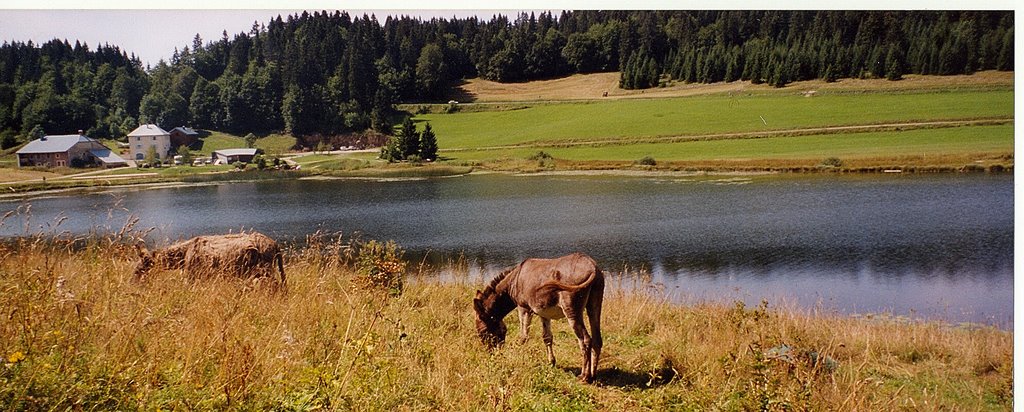 Lac de Lamoura by Marie Astrid