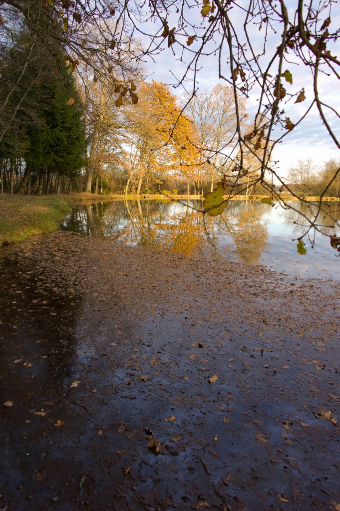 Fin d'automne à Evette by Chris de la B