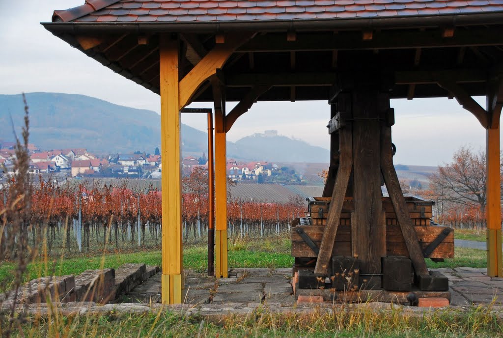 Traubenkelter in den Weinbergen bei St. Martin by Andreas-Müller - NO VIEWS