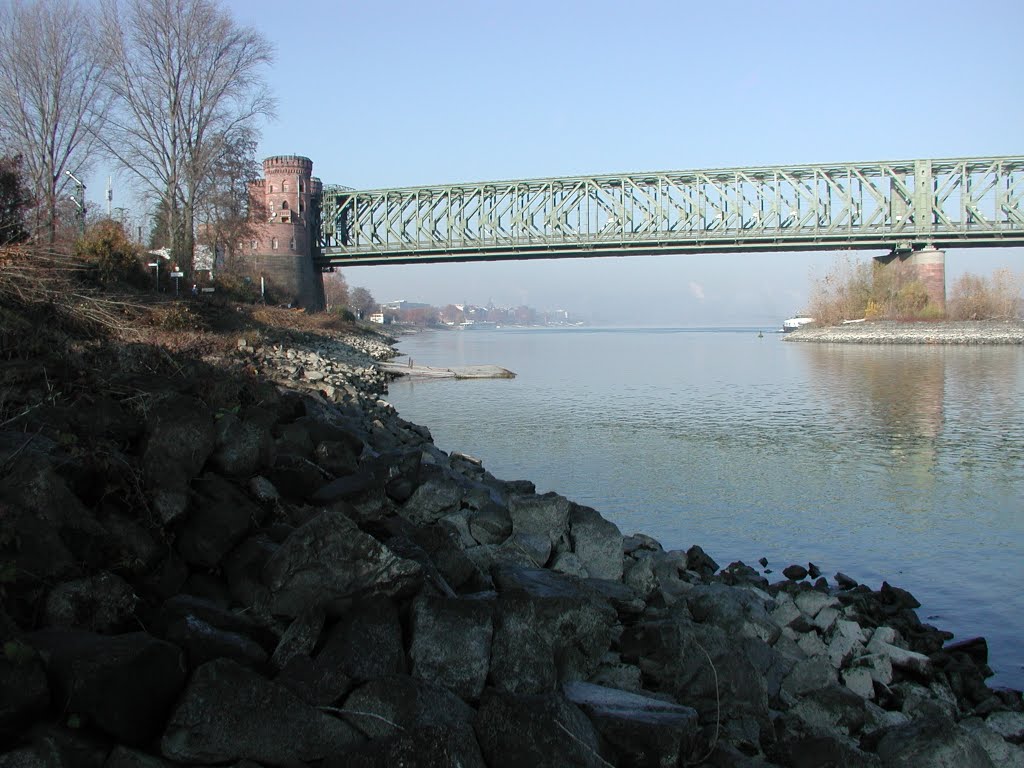 Vater Rhein braucht Wasser 7 by Michael Lehne