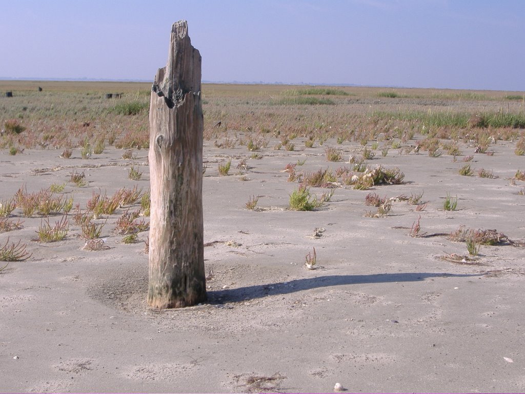 einsamer Wächter am Strand von Mellum by H.F.Haake