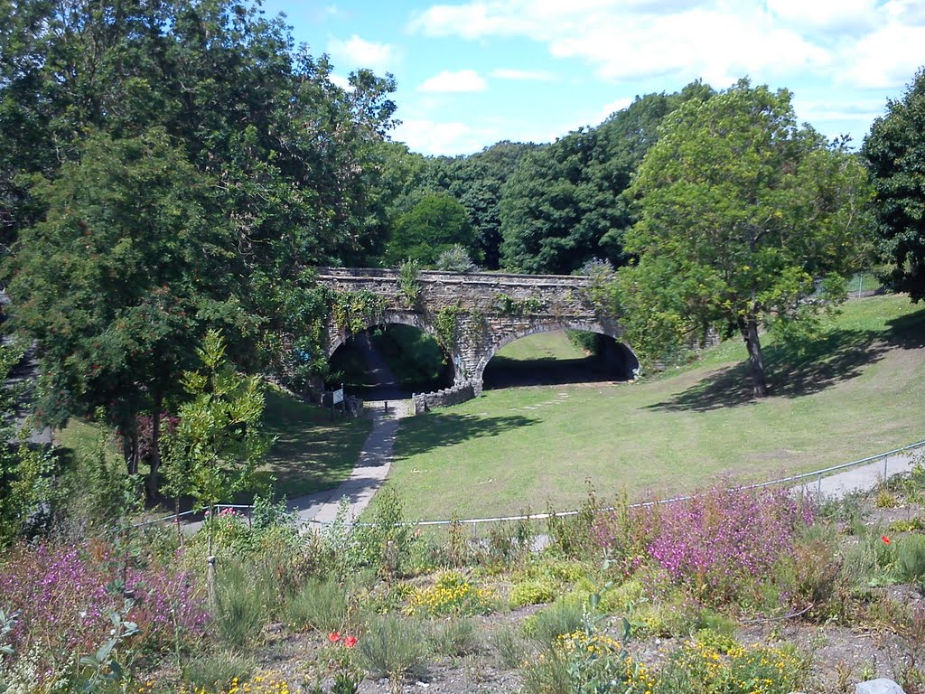 The Old Holywell Station Bridge by dai-roberts of mostyn