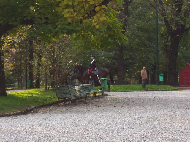 37 Berittene Carabinieri by Daniel Meyer