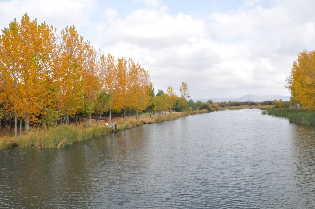 Puente del Robledo by aurelianonavas