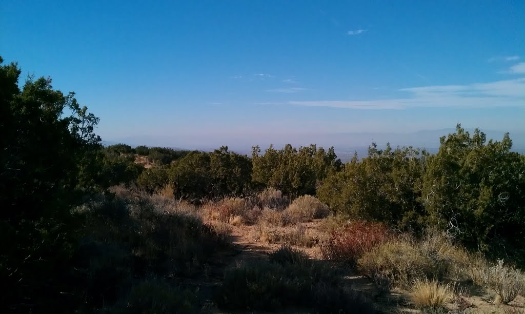 View Northwest from Holcomb Ridge and 185th by mkeenberg