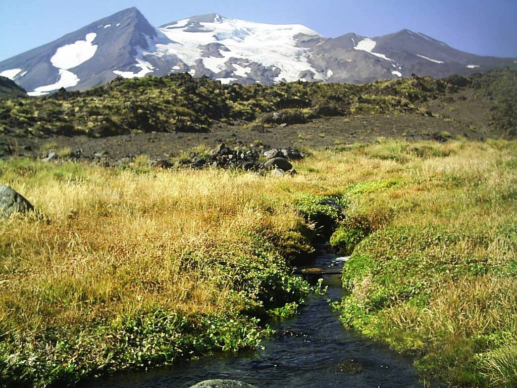 Nevados de Chillán by Carlos Cruz